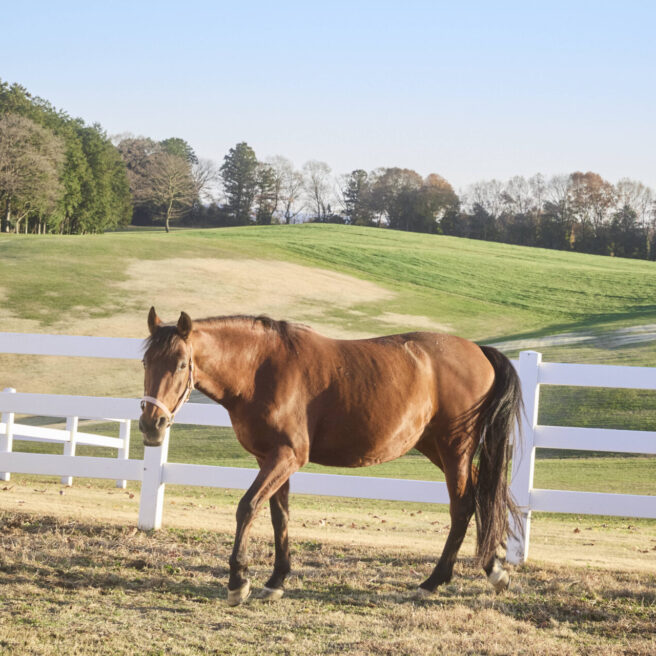 13話　移ろう季節とともに