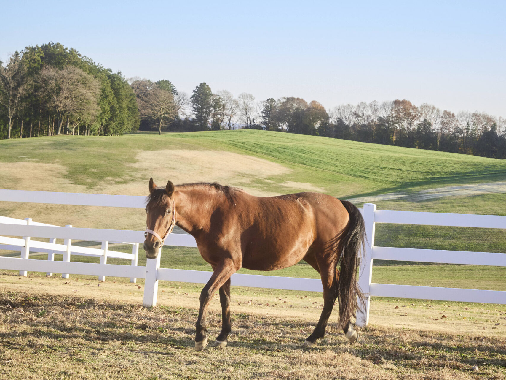 13話　移ろう季節とともに