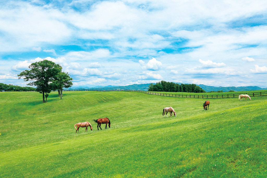 nasu farm village 那須ファームビレッジ - その他