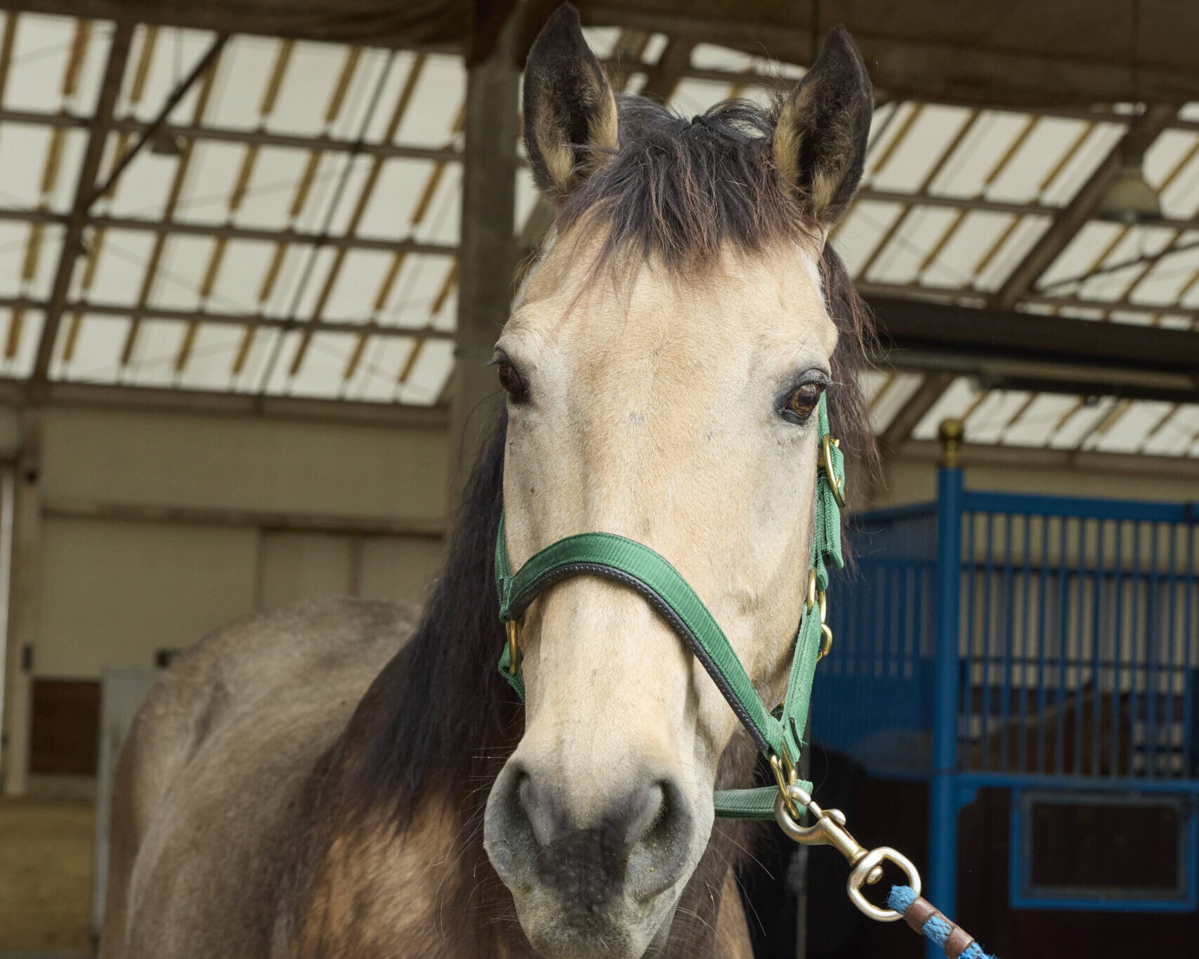 21話　アルゴと過ごす日々