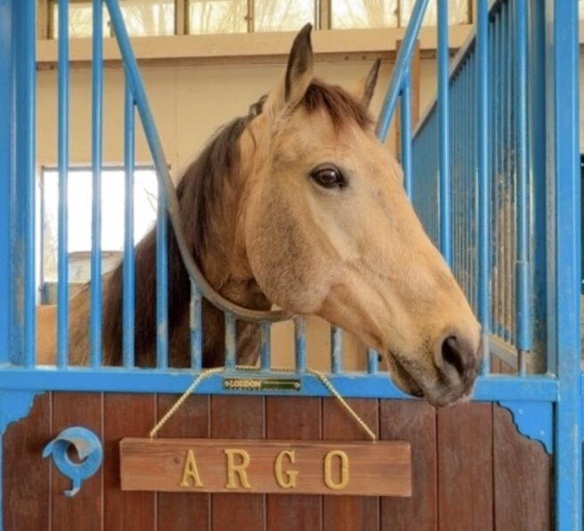 19話　新しい家族をお迎えします
