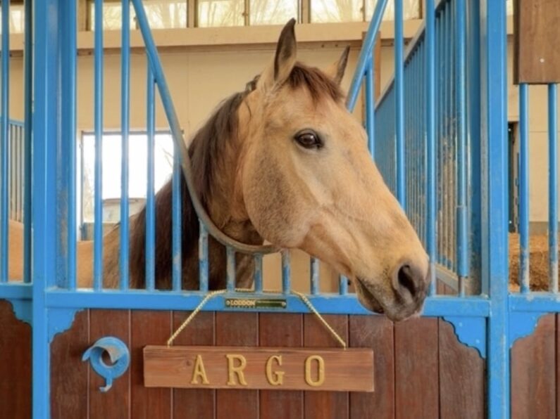 19話　新しい家族をお迎えします