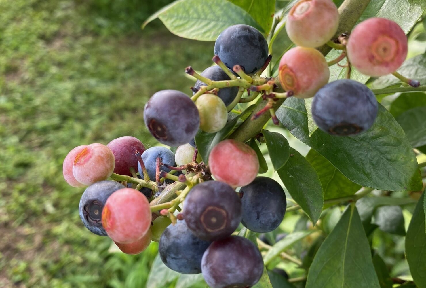 15話　次の実りに向けて