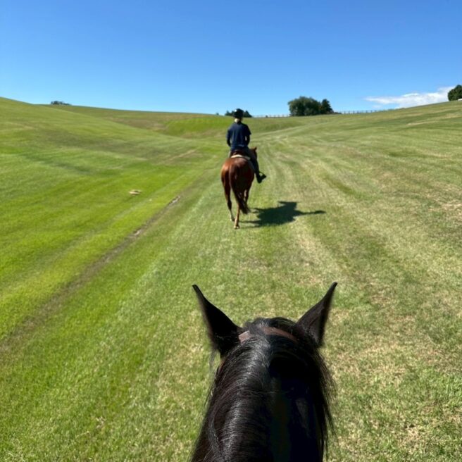 9話 Long course horse trekking 🐎🌿心をほどく、癒しの時間
