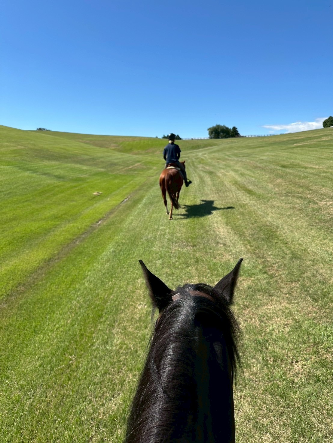 9話　Long course horse trekking 🐎🌿心をほどく、癒しの時間