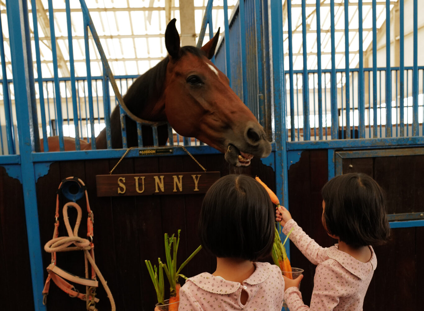 18話　私たちの活動について