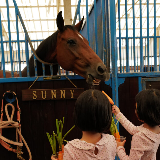 18話　私たちの活動について