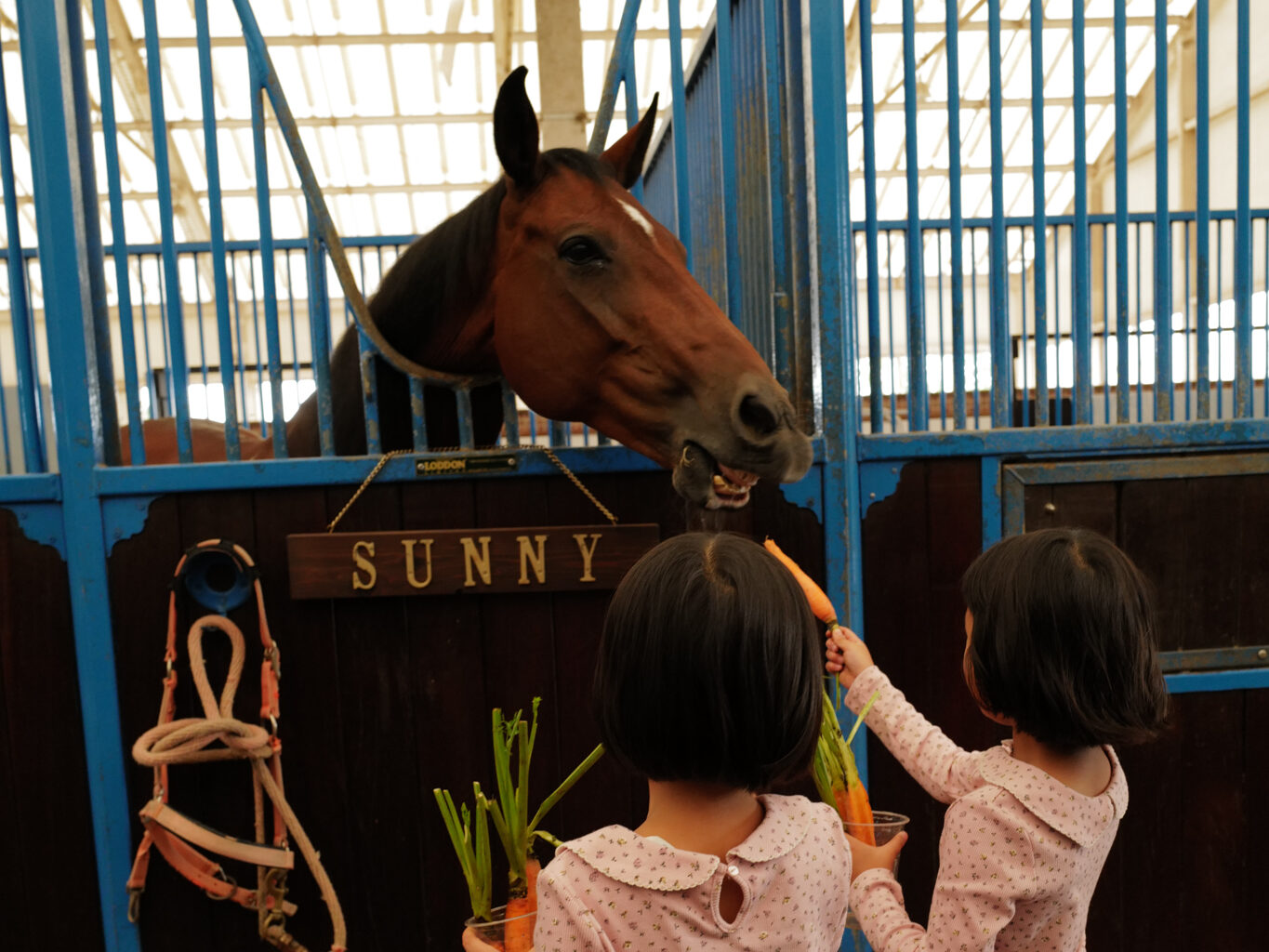 18話　私たちの活動について