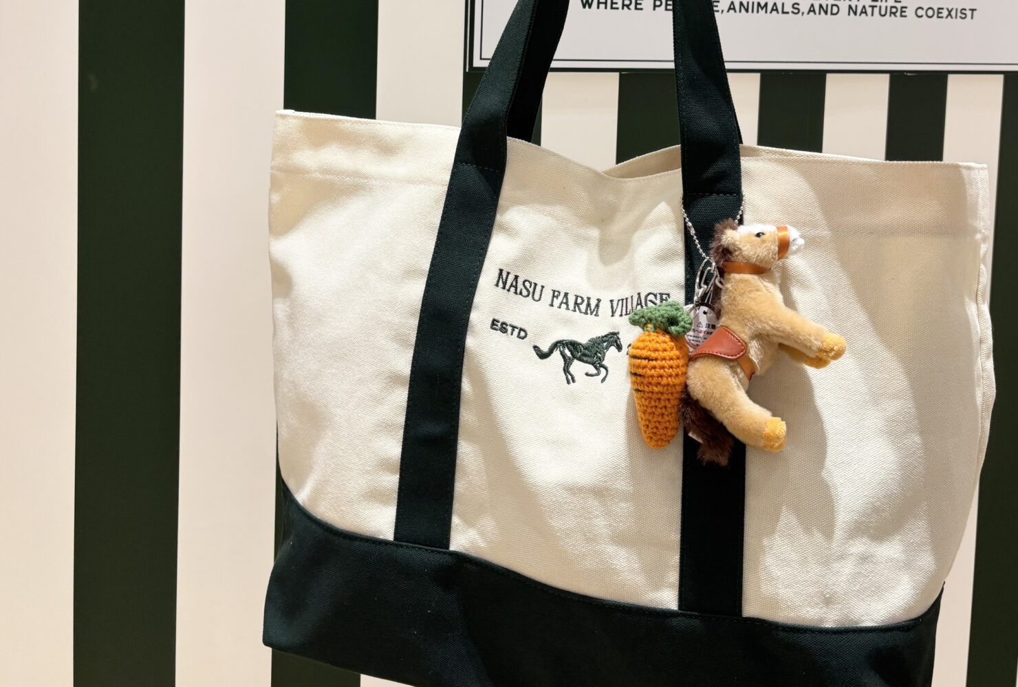 16話　仙台POPUP STOREを終えて