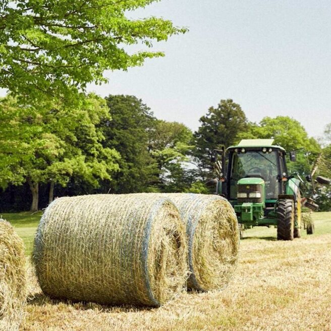 3話　草を刈る、その先に。── NASU FARM VILLAGEの牧草収穫のお話