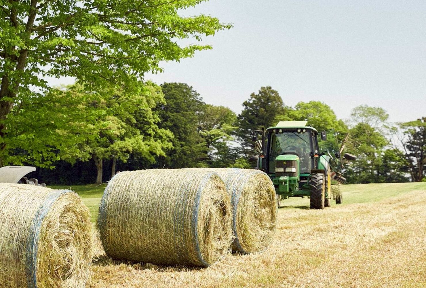 3話 草を刈る、その先に。── NASU FARM VILLAGEの牧草収穫のお話 3話 草を刈る、その先に。── NASU FARM VILLAGEの牧草収穫のお話