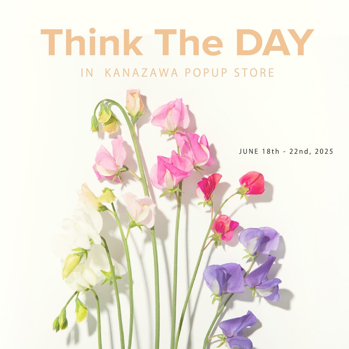 popup image
